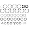 Spicer Differential Bearing Kit, 504031-1 504031-1 - alternate 2